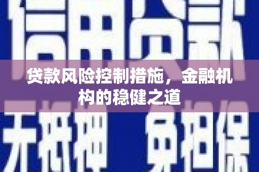 滨州贷款风险控制措施，金融机构的稳健之道