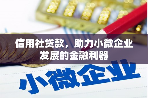 滨州信用社贷款，助力小微企业发展的金融利器