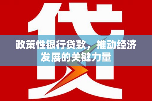 滨州政策性银行贷款，推动经济发展的关键力量