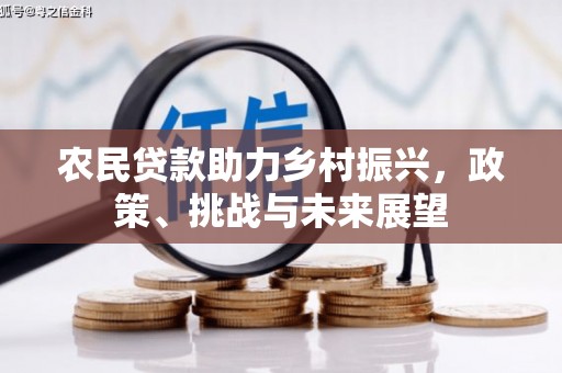 滨州农民贷款助力乡村振兴，政策、挑战与未来展望