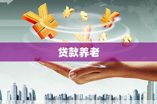 滨州贷款养老