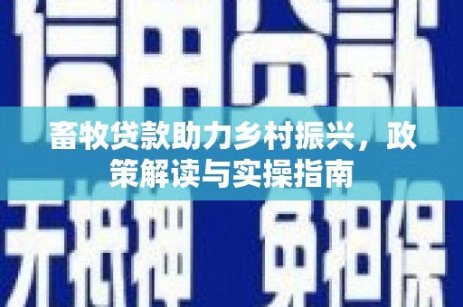 滨州畜牧贷款助力乡村振兴，政策解读与实操指南