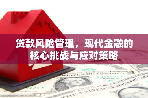 滨州贷款风险管理，现代金融的核心挑战与应对策略