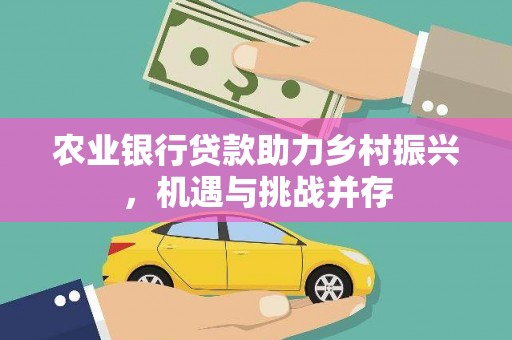 滨州农业银行贷款助力乡村振兴，机遇与挑战并存