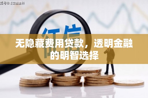 滨州无隐藏费用贷款，透明金融的明智选择