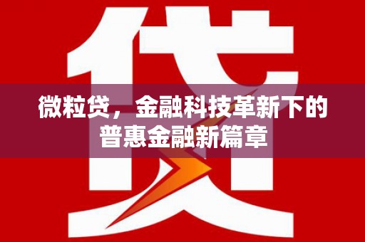 滨州微粒贷，金融科技革新下的普惠金融新篇章