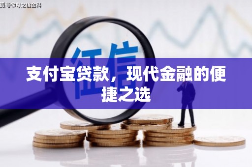 滨州支付宝贷款，现代金融的便捷之选
