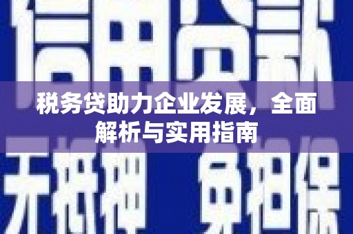 滨州税务贷助力企业发展，全面解析与实用指南