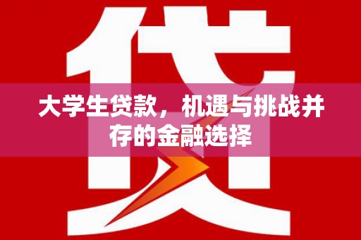 滨州大学生贷款，机遇与挑战并存的金融选择