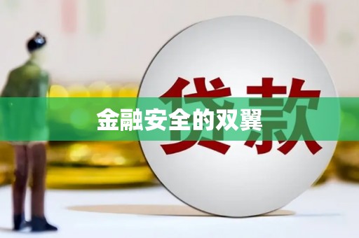 滨州金融安全的双翼