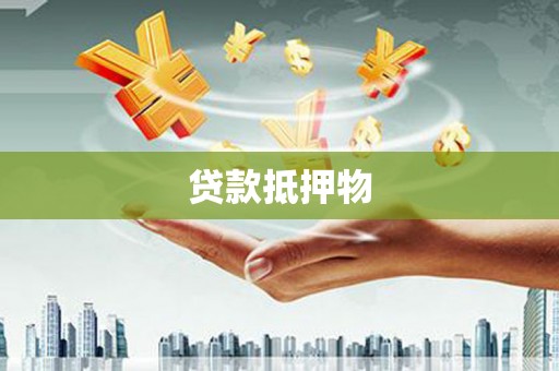 滨州贷款抵押物