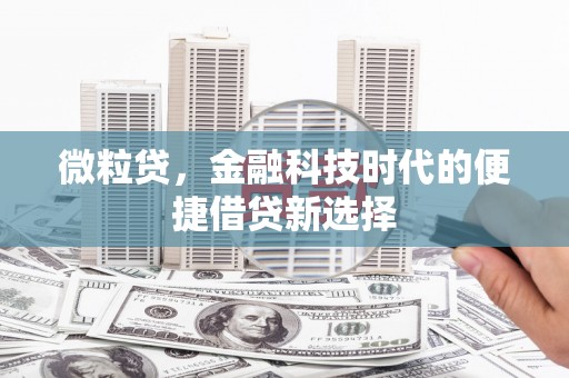 滨州微粒贷，金融科技时代的便捷借贷新选择