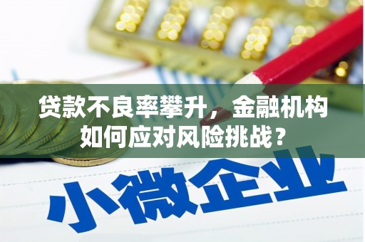 滨州贷款不良率攀升，金融机构如何应对风险挑战？