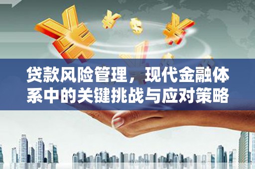 滨州贷款风险管理，现代金融体系中的关键挑战与应对策略