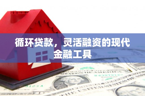 滨州循环贷款，灵活融资的现代金融工具