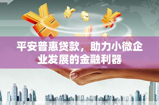 滨州平安普惠贷款，助力小微企业发展的金融利器