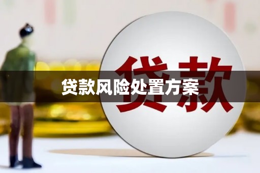 滨州贷款风险处置方案