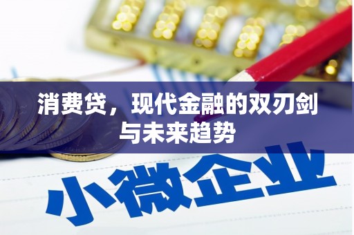 滨州消费贷，现代金融的双刃剑与未来趋势