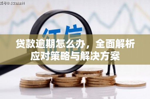 滨州贷款逾期怎么办，全面解析应对策略与解决方案