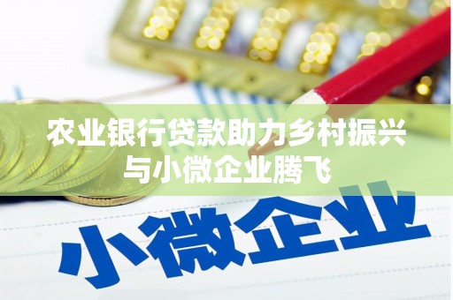 滨州农业银行贷款助力乡村振兴与小微企业腾飞