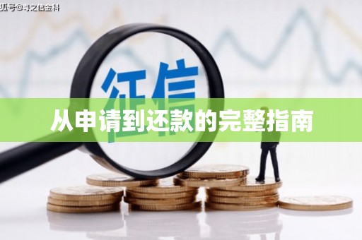 滨州从申请到还款的完整指南