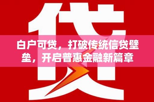 滨州白户可贷，打破传统信贷壁垒，开启普惠金融新篇章