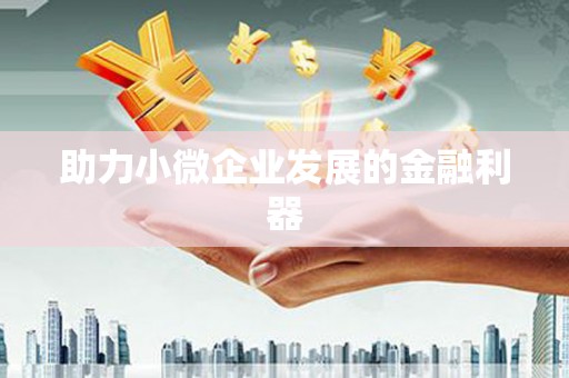 滨州助力小微企业发展的金融利器