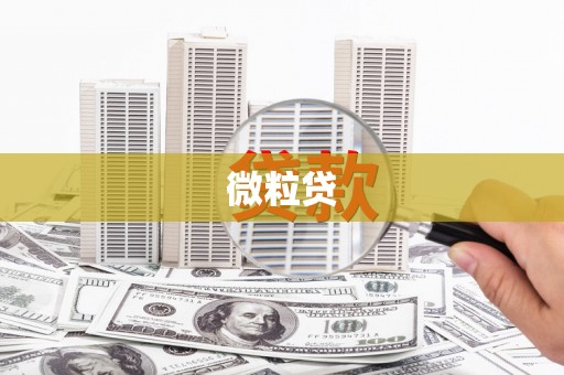 滨州微粒贷