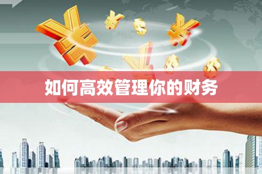 滨州如何高效管理你的财务