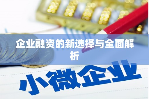 滨州企业融资的新选择与全面解析