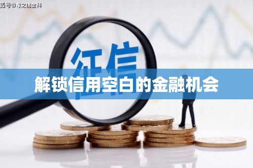 滨州解锁信用空白的金融机会