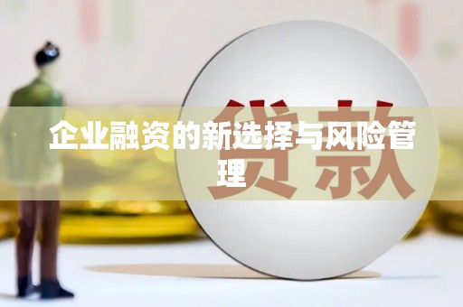 滨州企业融资的新选择与风险管理