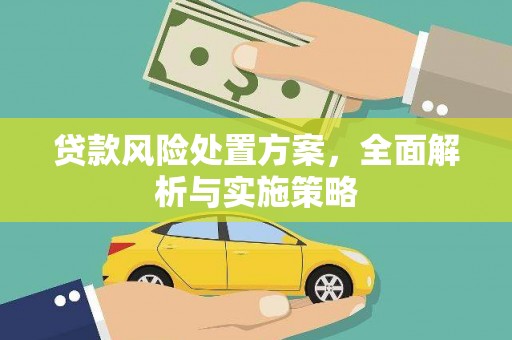滨州贷款风险处置方案，全面解析与实施策略