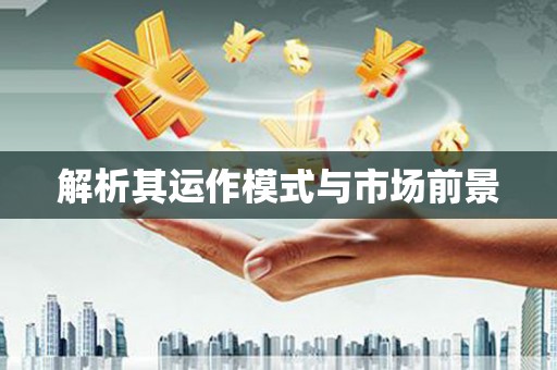 滨州解析其运作模式与市场前景