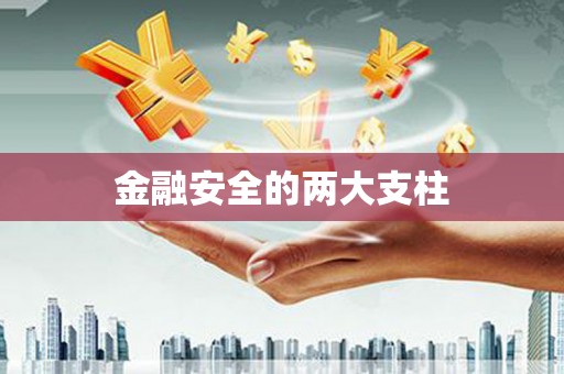 滨州金融安全的两大支柱