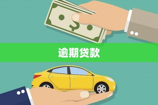 滨州逾期贷款