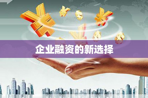 滨州企业融资的新选择