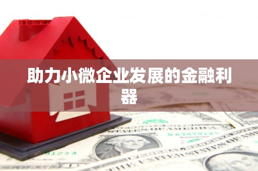滨州助力小微企业发展的金融利器