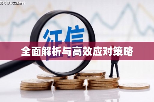 滨州全面解析与高效应对策略