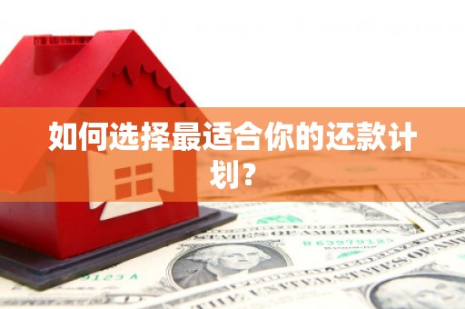 滨州如何选择最适合你的还款计划？