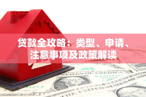 滨州贷款全攻略：类型、申请、注意事项及政策解读